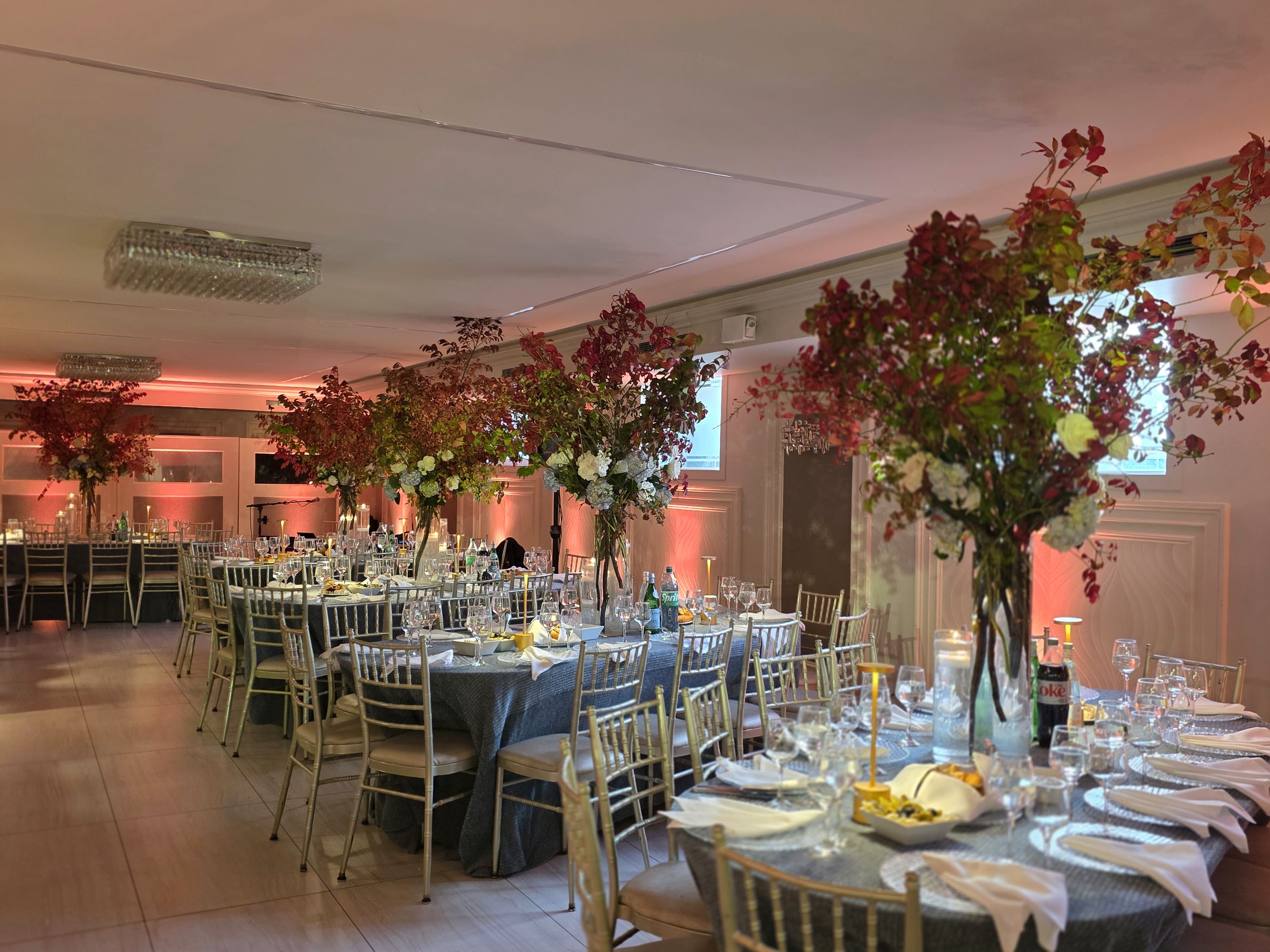 The whole room: maples on every table, warm light on every wall