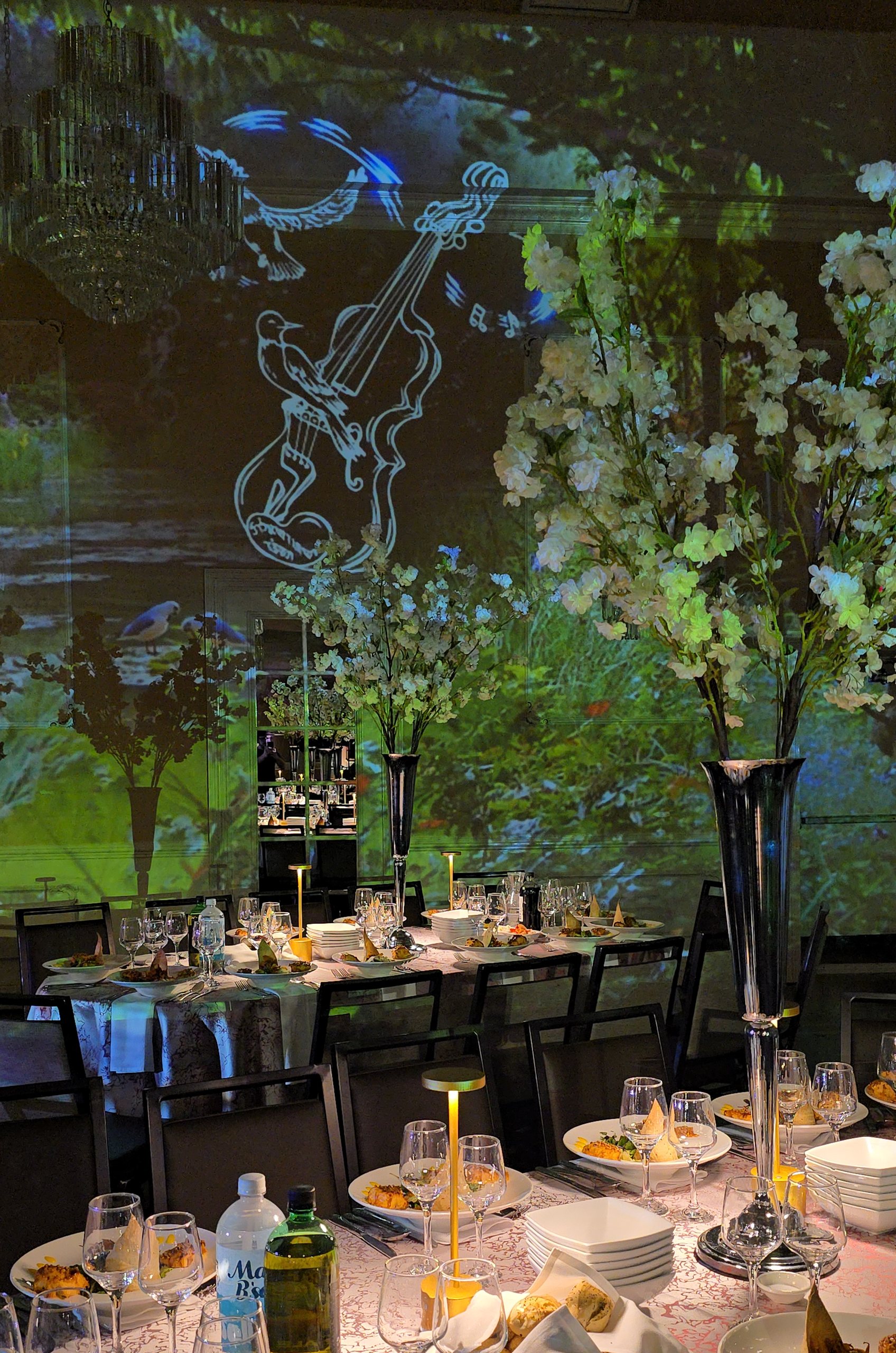 A bird and a violin drawn in light on the wall, a white blossom tree over the table