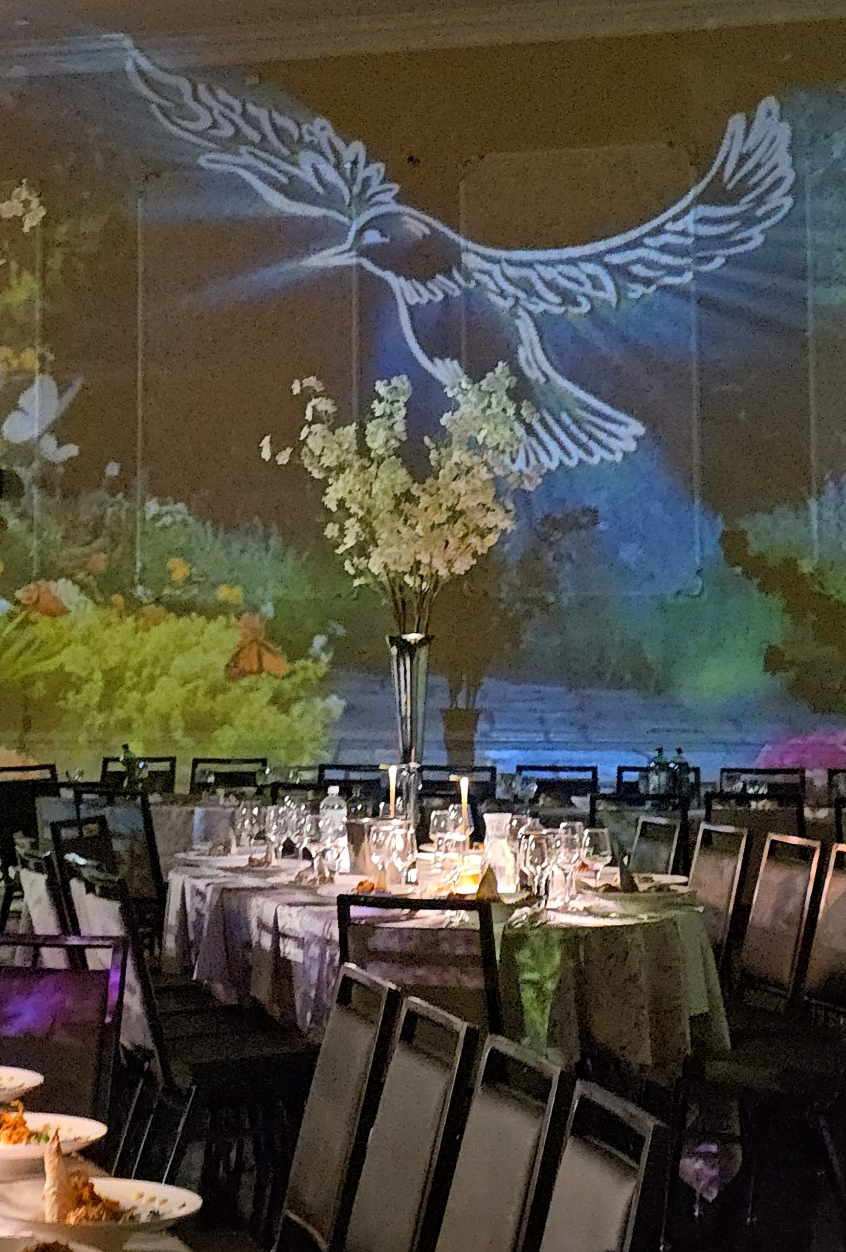 A white bird drawn in light over the projected garden wall, the set tables beneath it