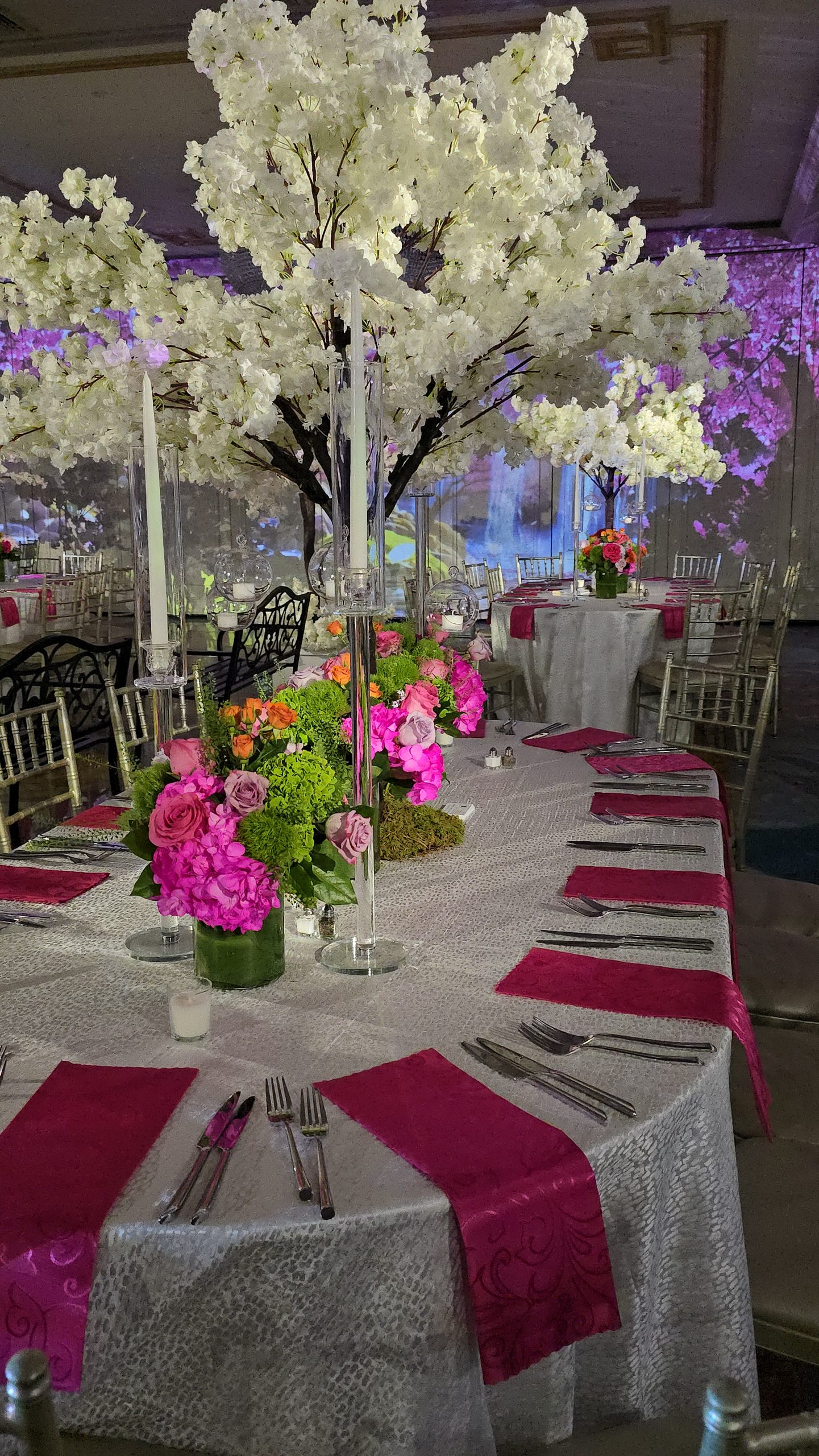 A long table under the white trees, pink runners, the projected garden on the wall