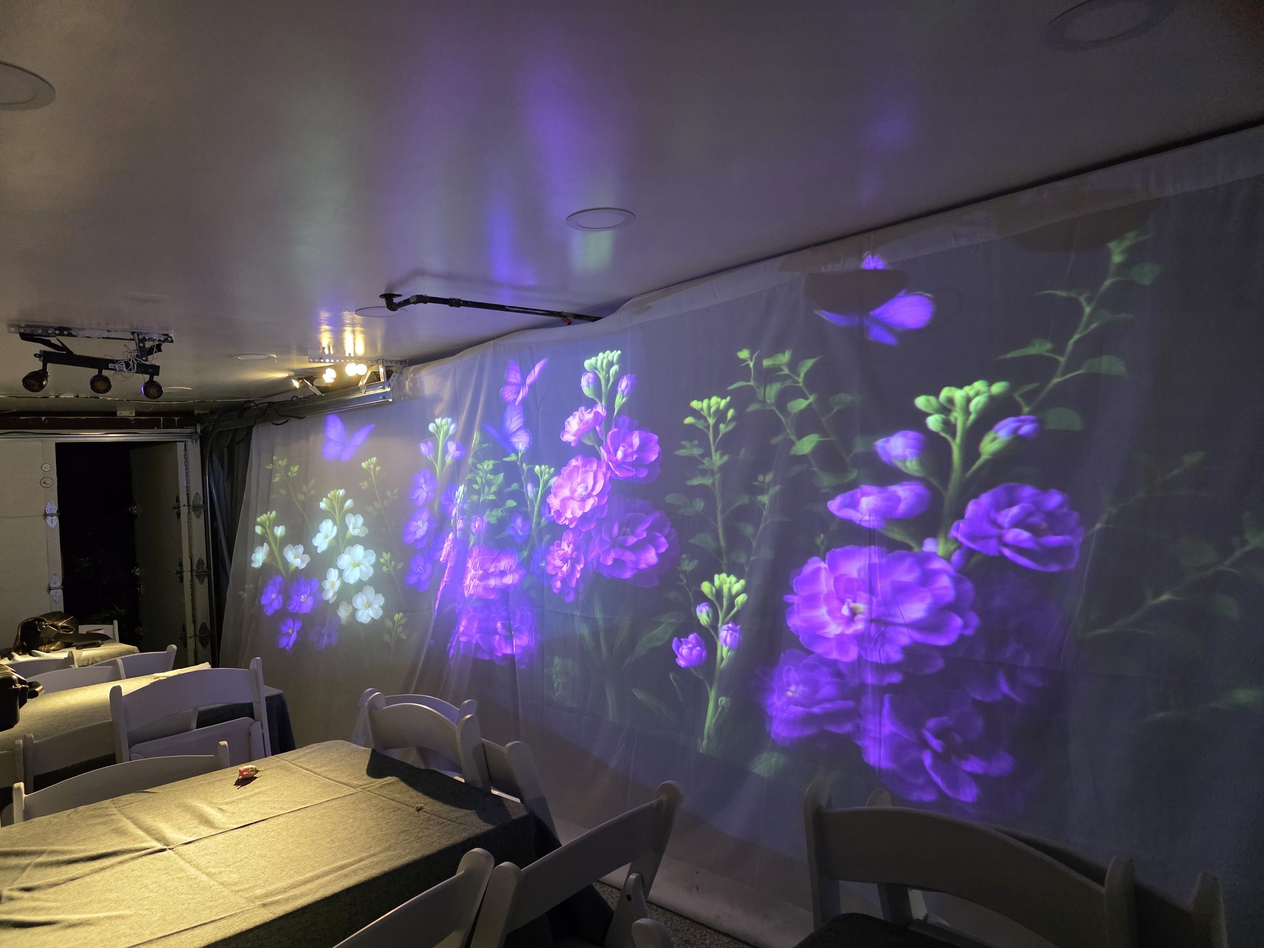 Purple florals projected across the wall of the room