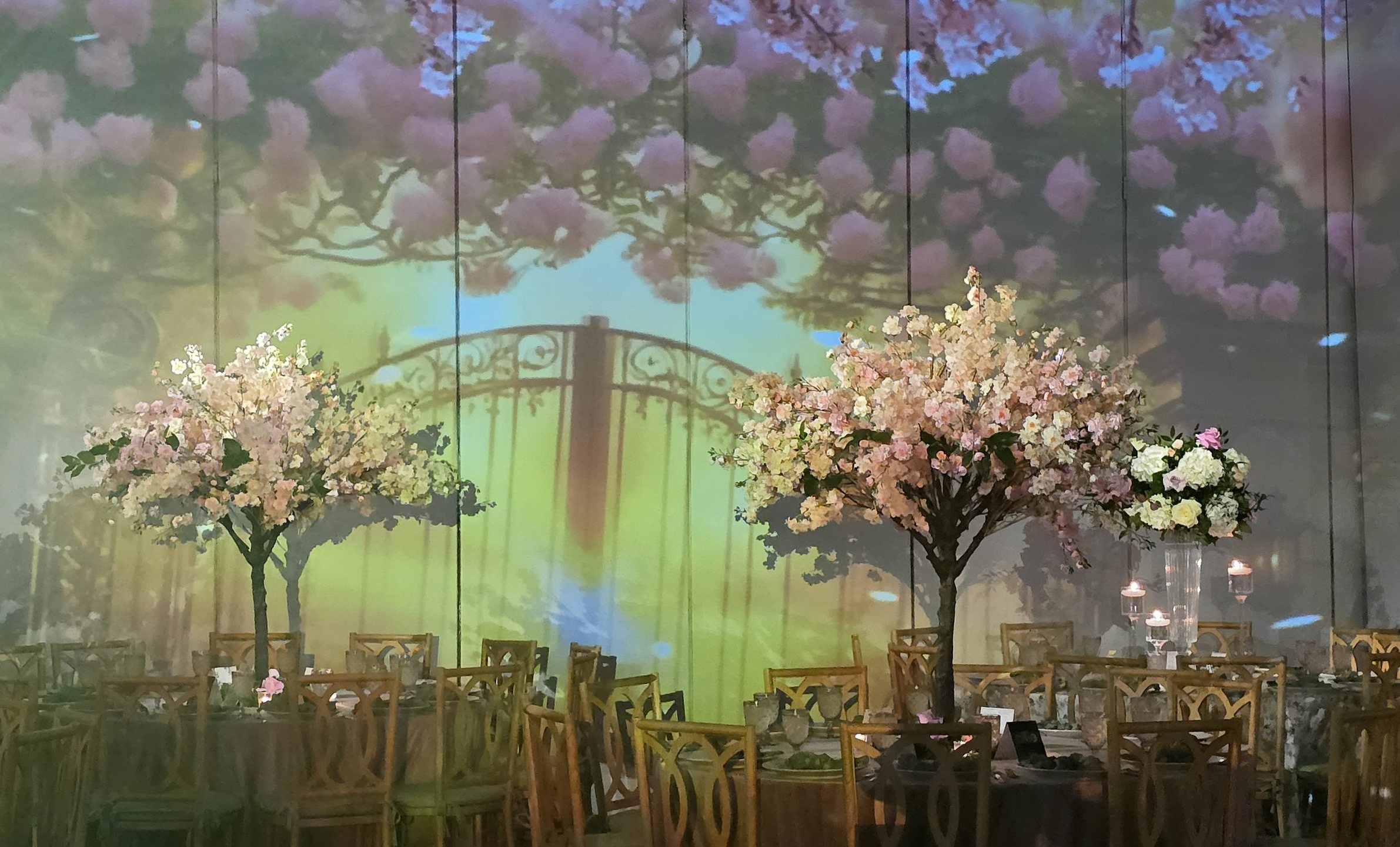 The garden gate projected on the wall, blossom trees on either side