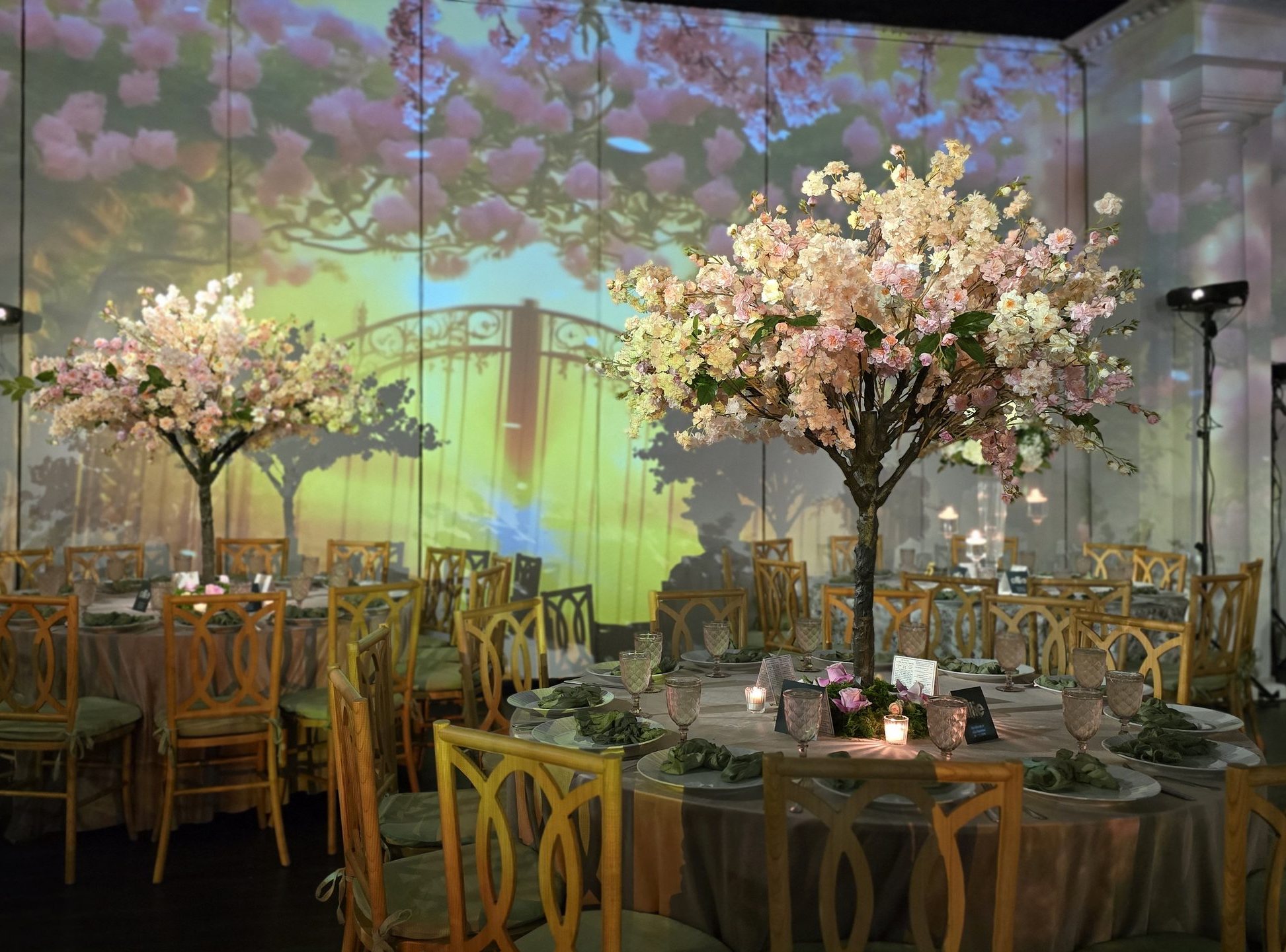 Blossom trees over the tables, the projected garden wall to wall