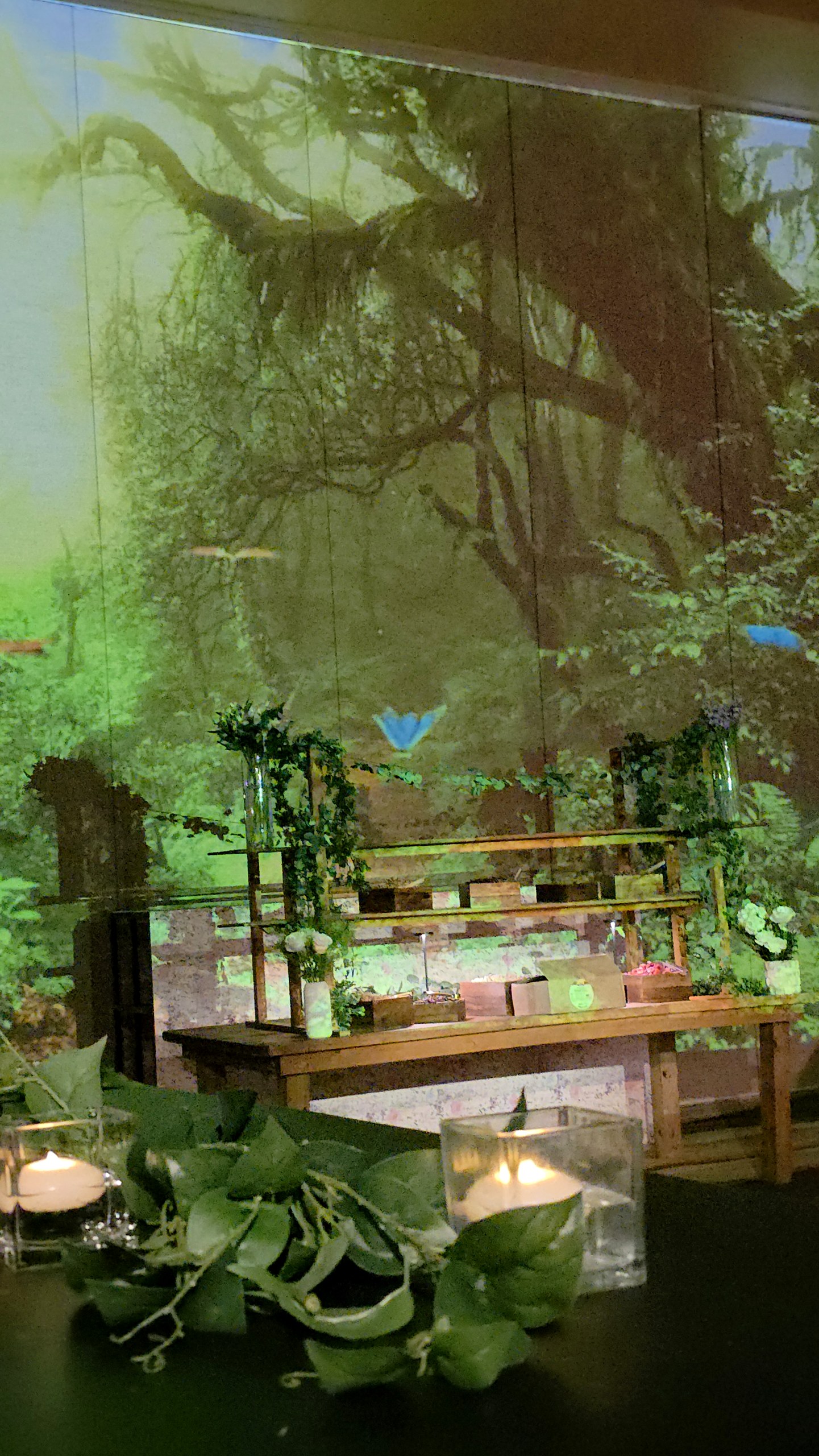 A projected forest wall, sunlight through the branches, lanterns and greenery at its foot