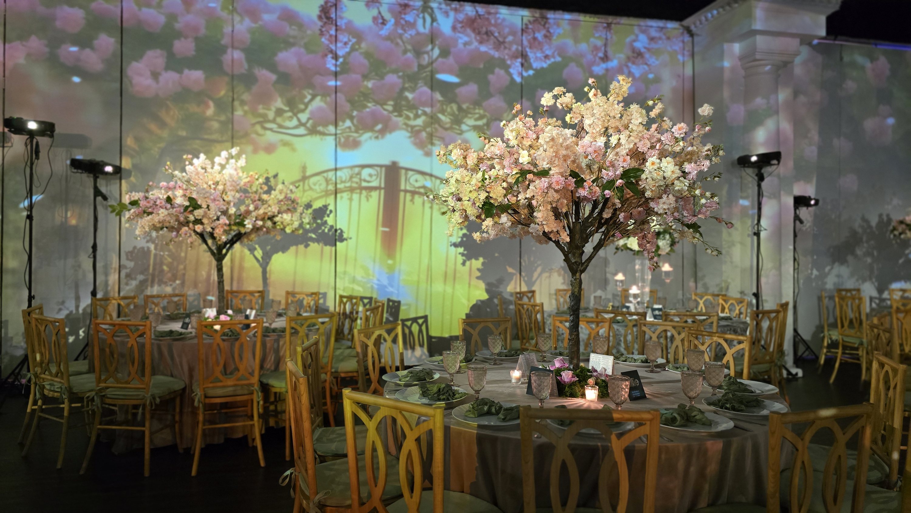 Pink blossom trees over the set tables, a garden gate and blossom projected across the wall behind them
