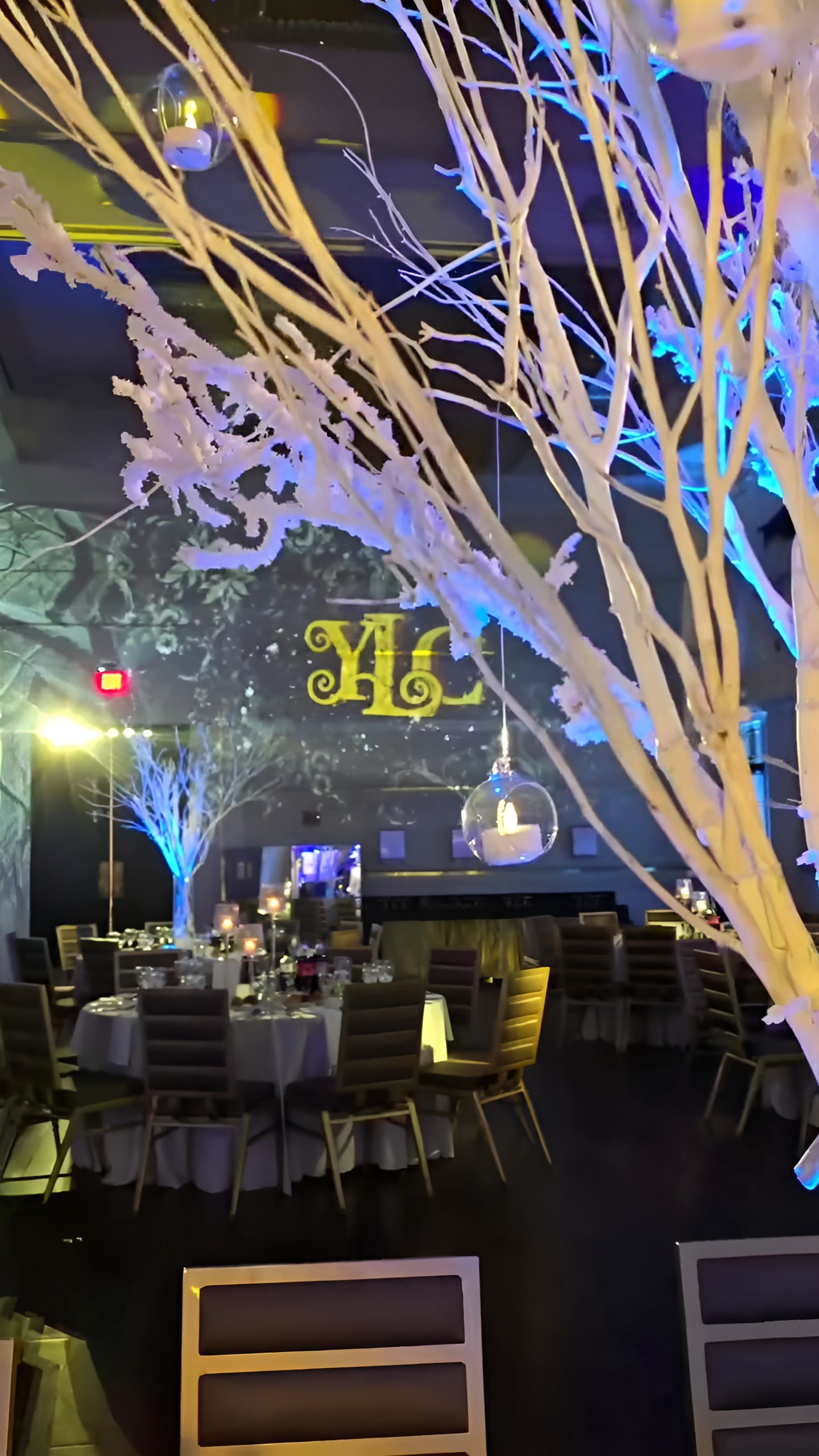 White projected trees over the tables of a wedding hall