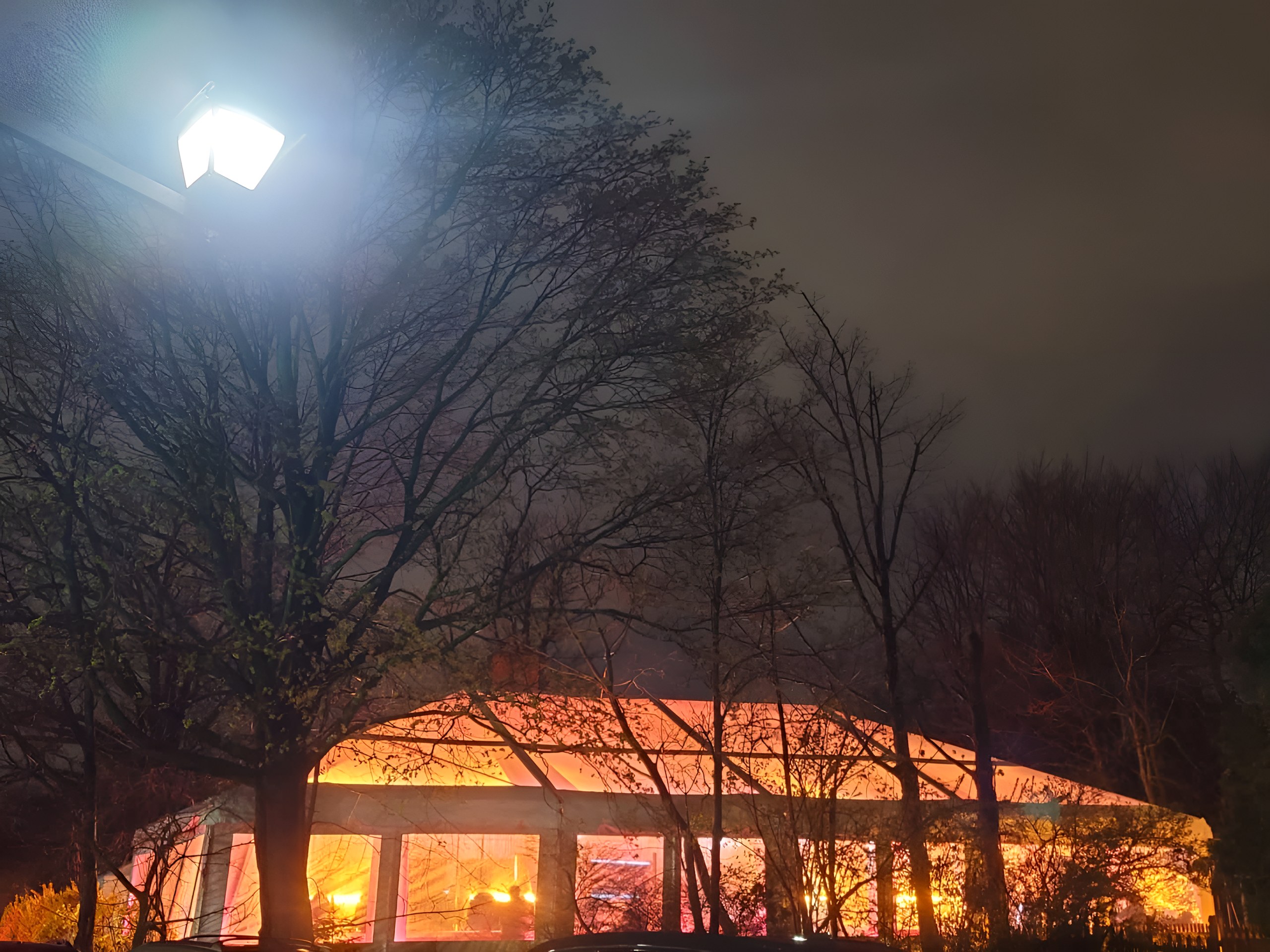 A clear-top tent glowing amber through the bare trees