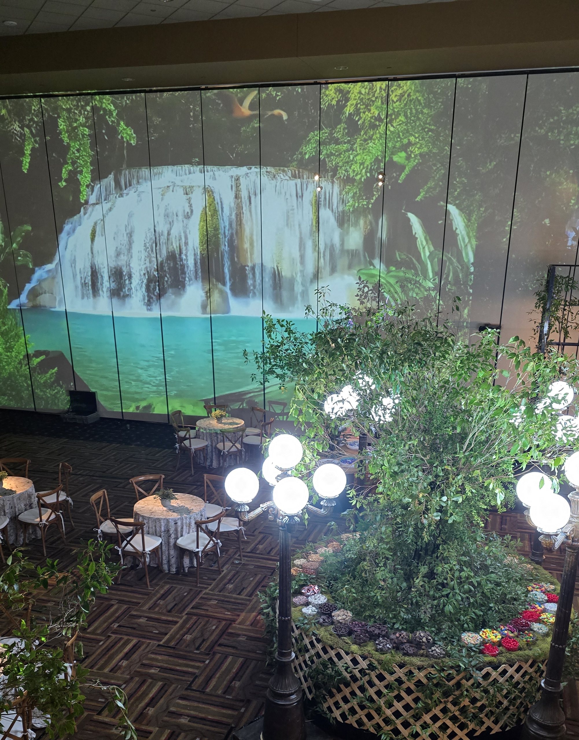 A tree hung with lantern globes, the projected waterfall behind