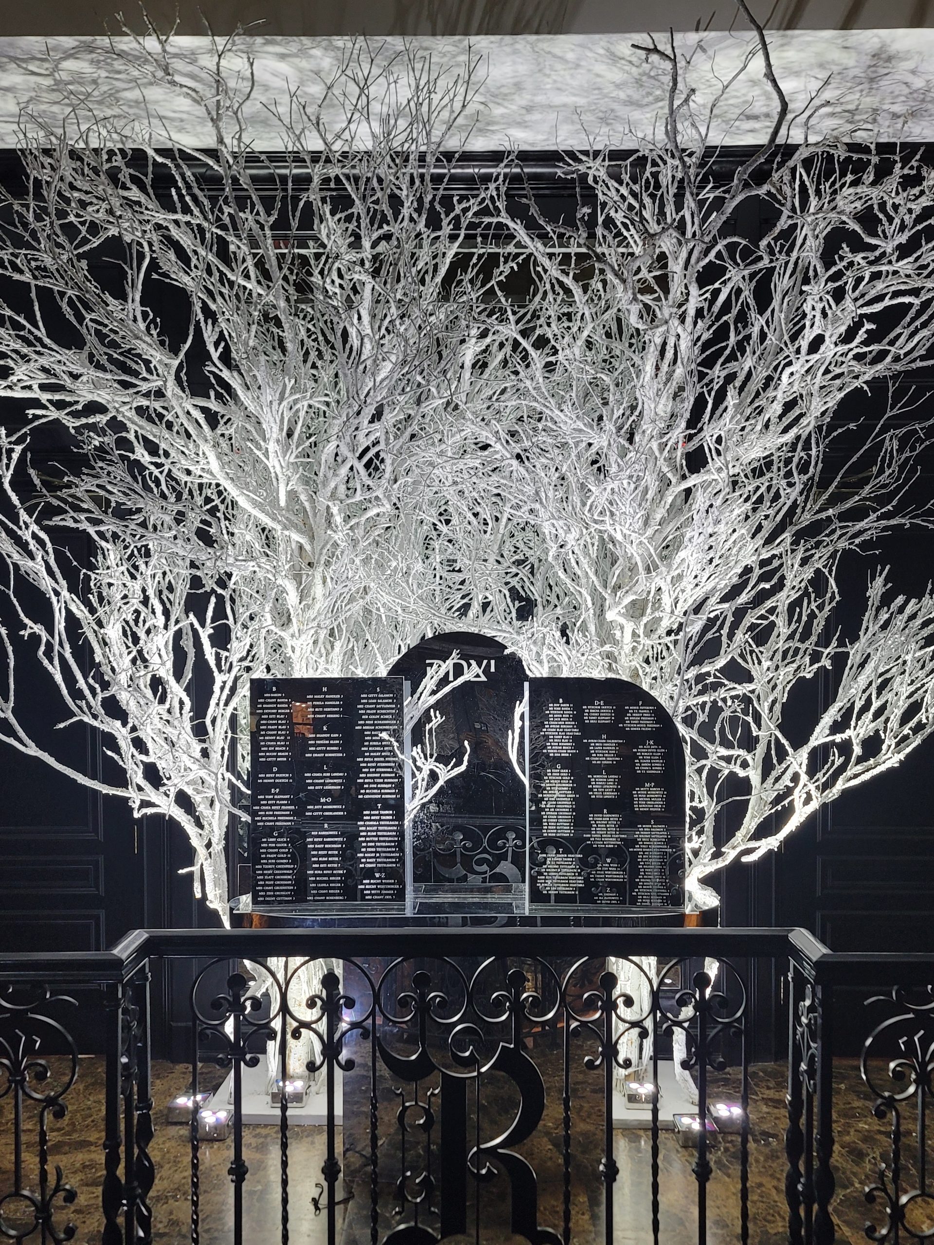 The lit white branches over the gate, the boards beneath