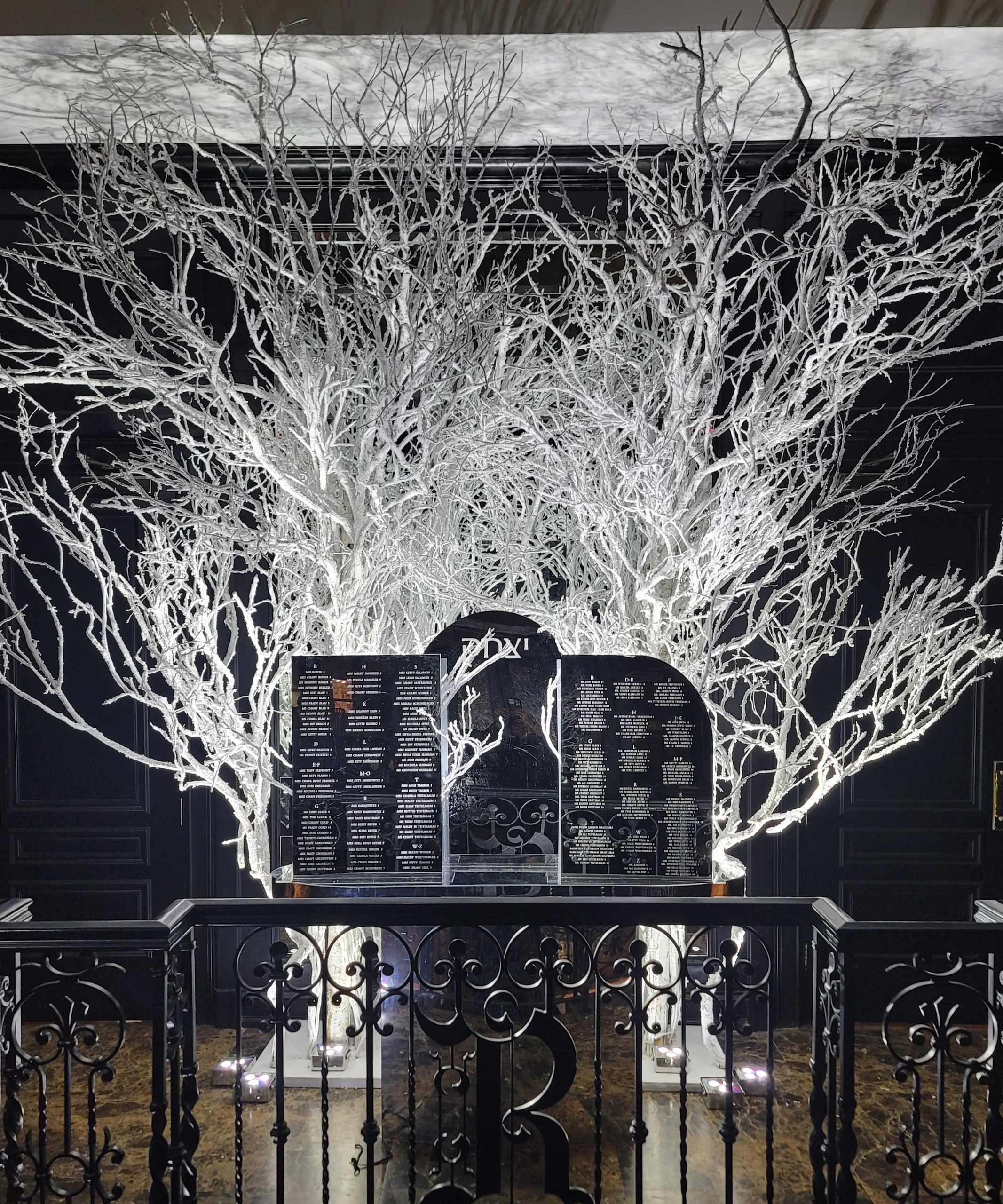 White branches lit from below over an ironwork gate and the seating boards