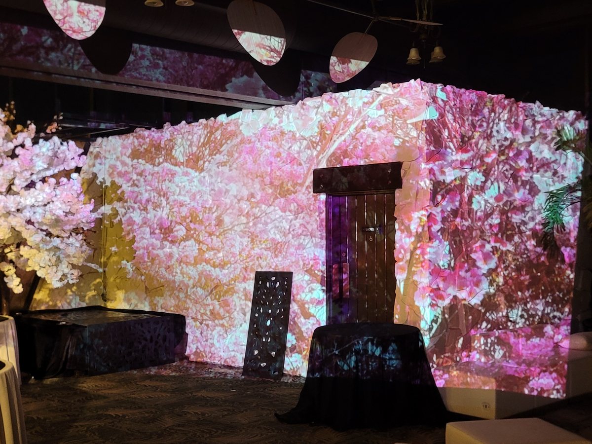 Pink blossom projection-mapped onto a built set, a gate in the middle