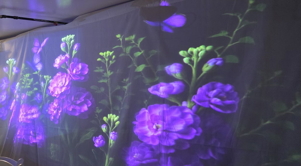 Purple flowers and butterflies projected across a draped wall