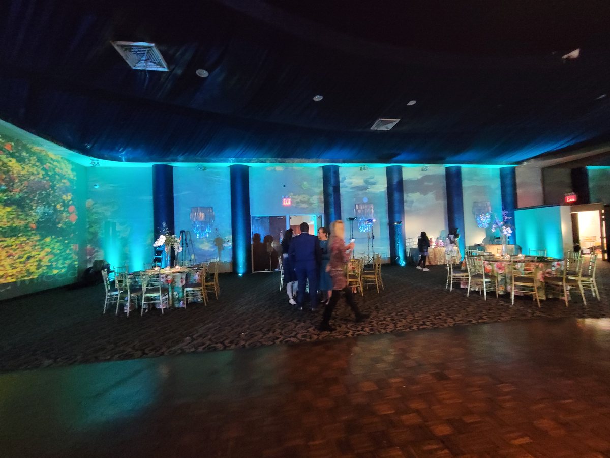 A garden projected around every wall of the room